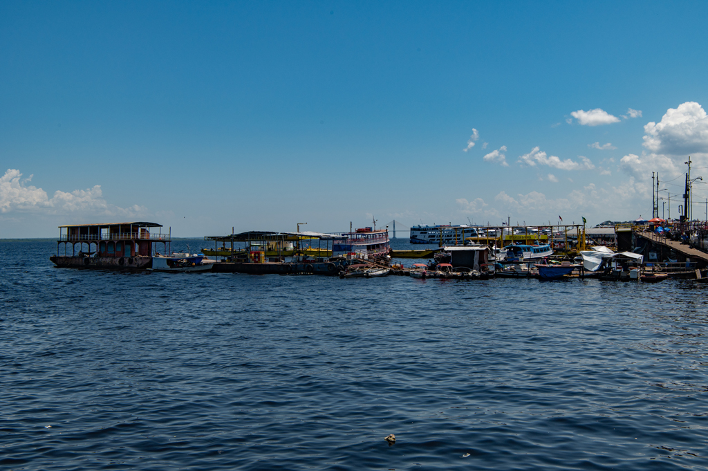 DSC_3136