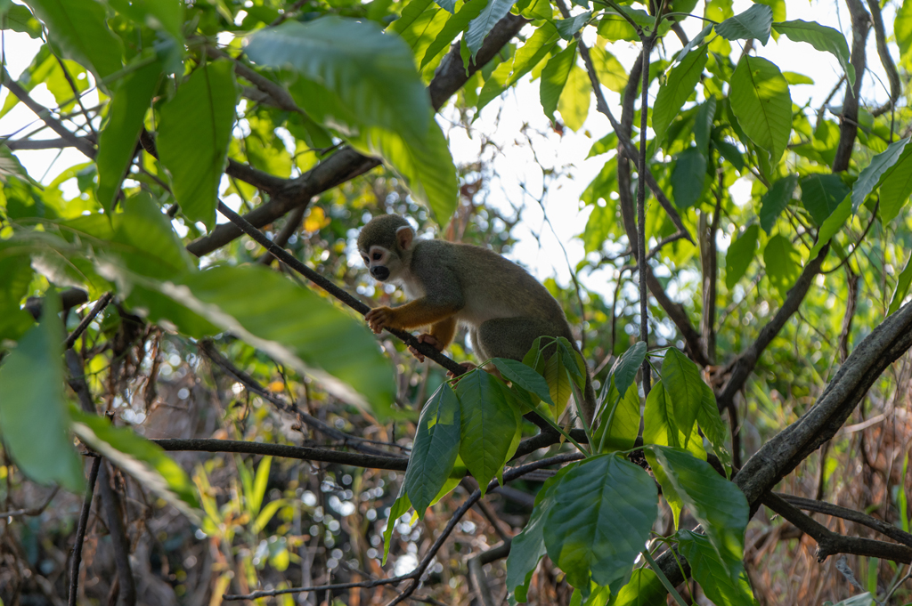 DSC_3283
