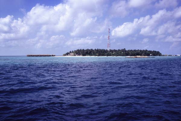 Maldive